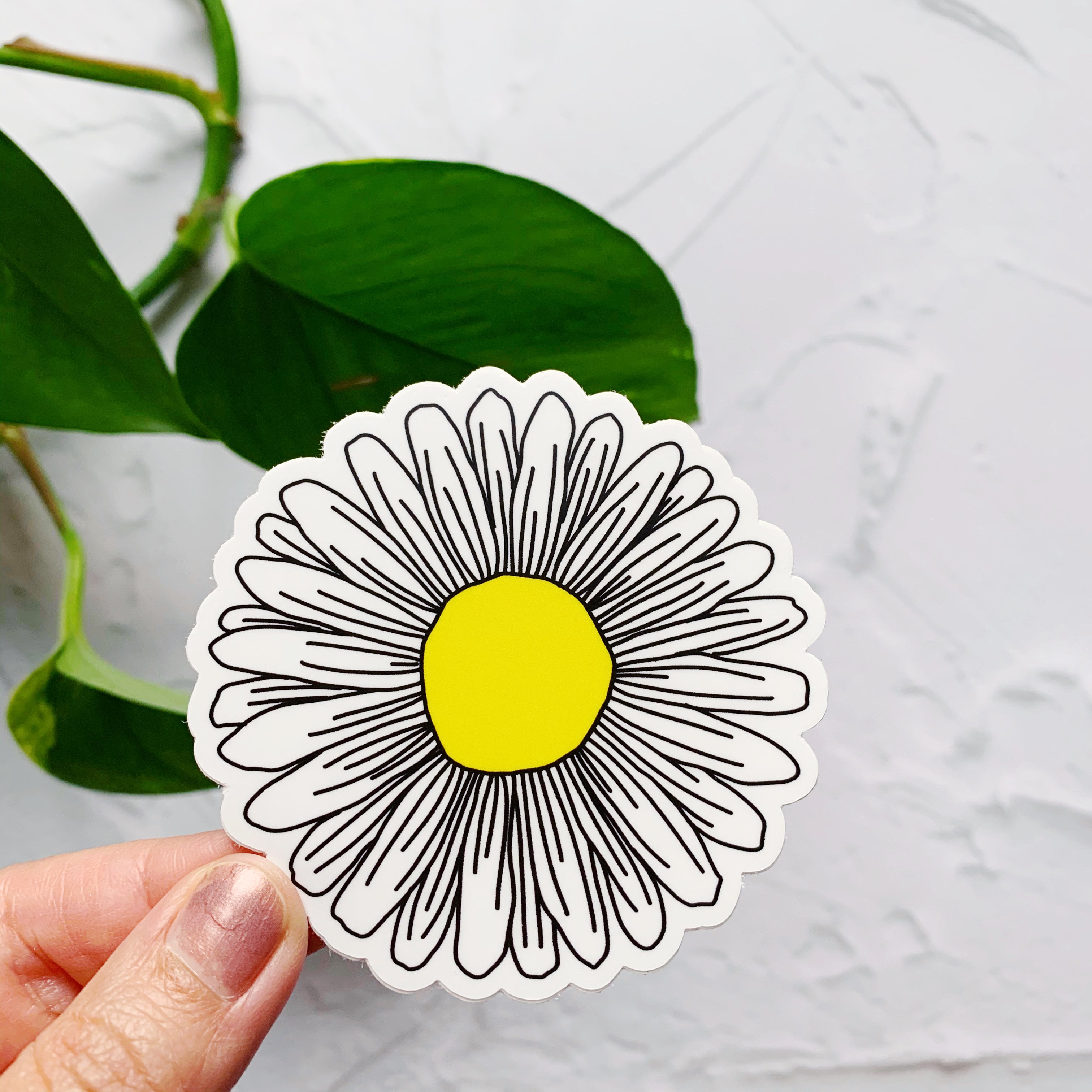 Daisy Flower Sticker Decal – Wildflower Paper Company